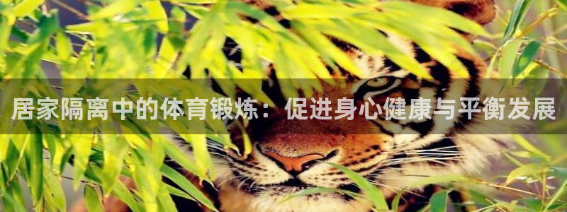 oety欧亿：居家隔离中的体育锻炼：促进身心健康与平衡发展