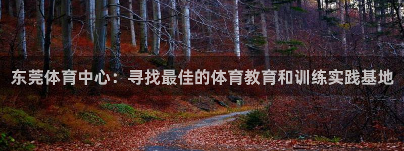 oety欧亿：东莞体育中心：寻找最佳的体育教育和训练实践基地