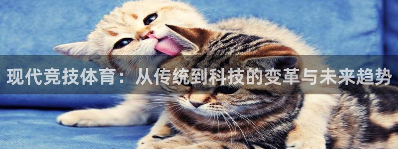 oety欧亿：现代竞技体育：从传统到科技的变革与未来趋势