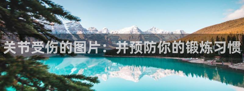 oety欧亿：关节受伤的图片：并预防你的锻炼习惯