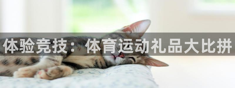 oety欧亿：体验竞技：体育运动礼品大比拼