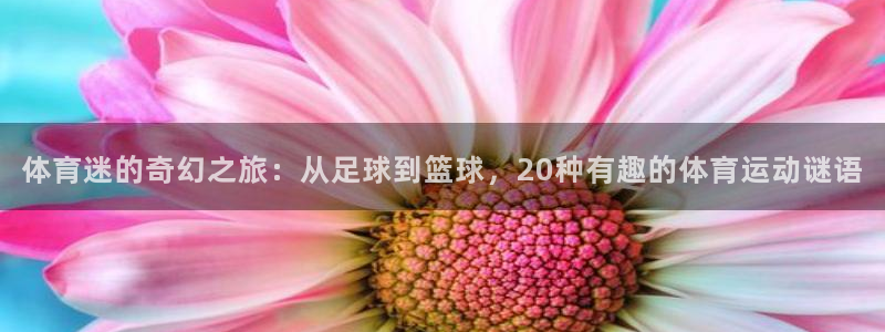 oety欧亿：体育迷的奇幻之旅：从足球到篮球，20种有趣的体育运动谜语