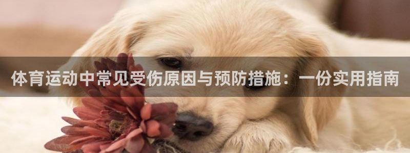 oety欧亿：体育运动中常见受伤原因与预防措施：一份实用指南